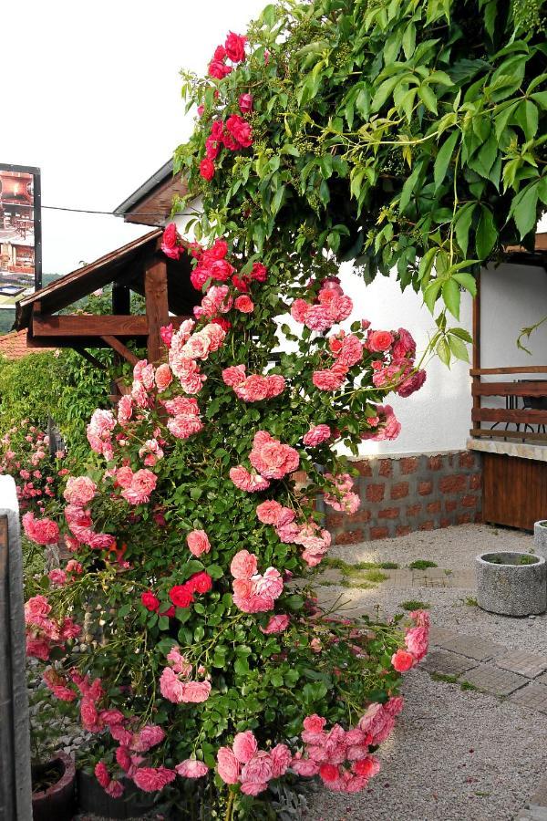 Guest House Medina Belogradchik Ngoại thất bức ảnh