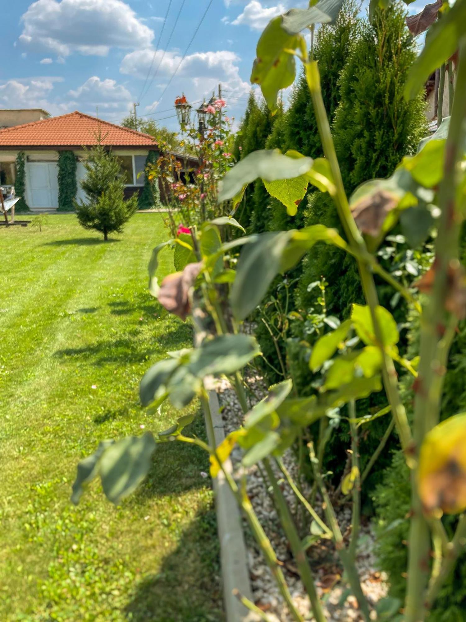 Guest House Medina Belogradchik Ngoại thất bức ảnh